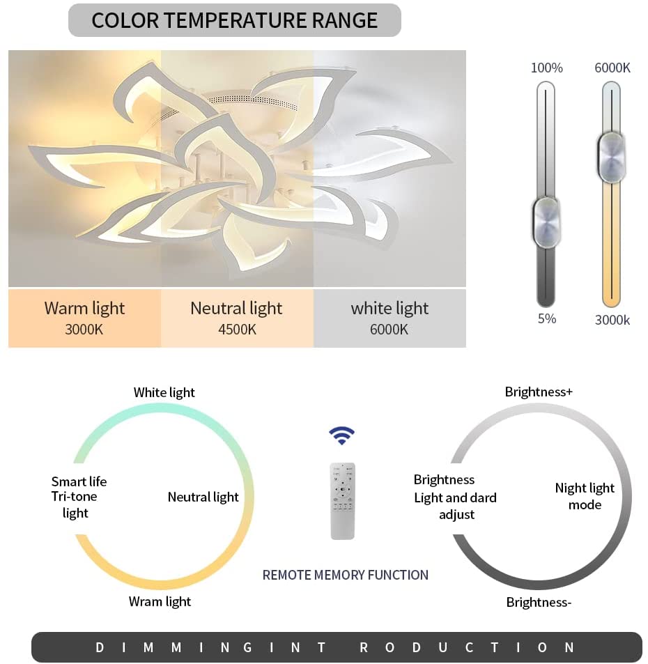 Diagramme de l'effet lumineux du plafonnier