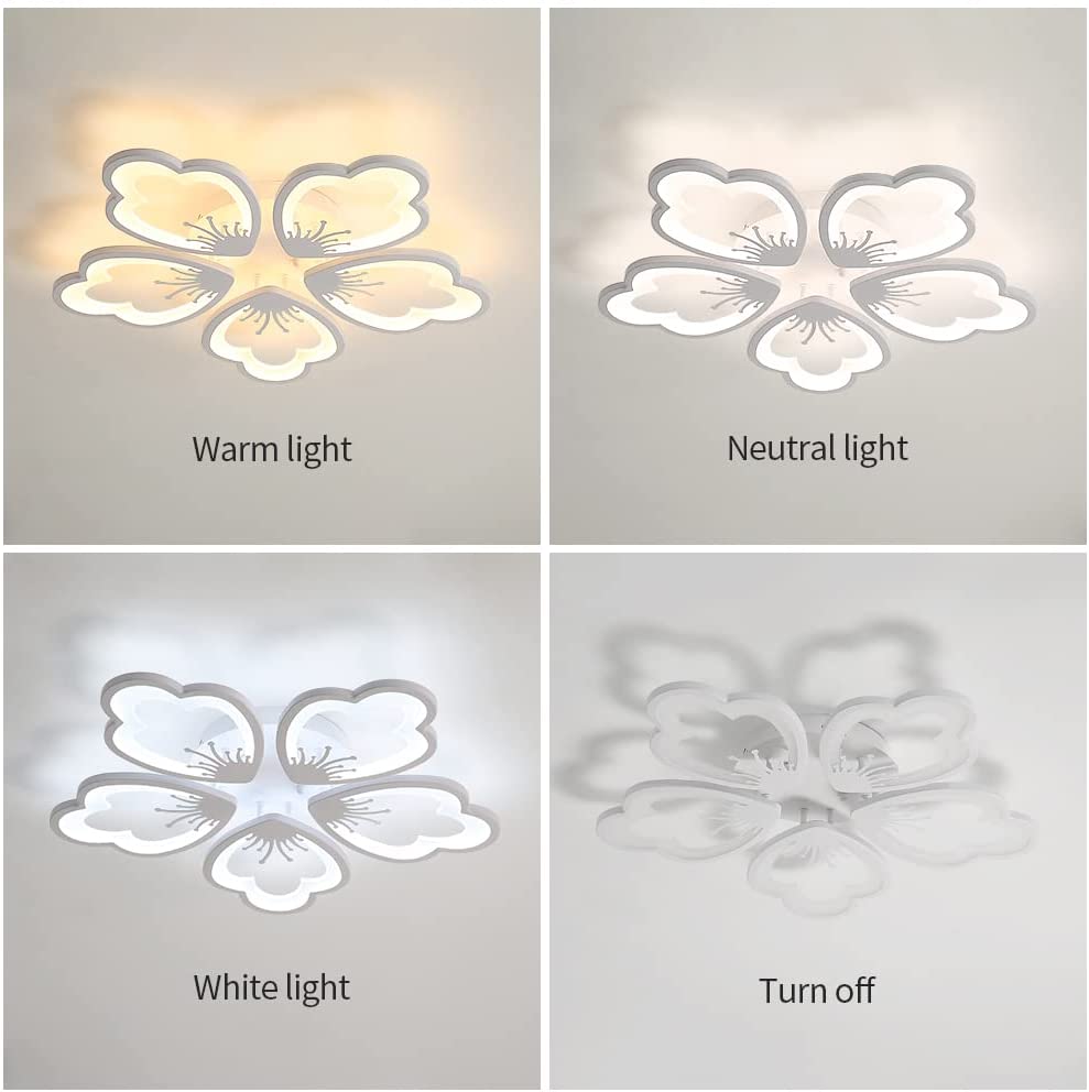 Diagramme de l'effet lumineux du plafonnier