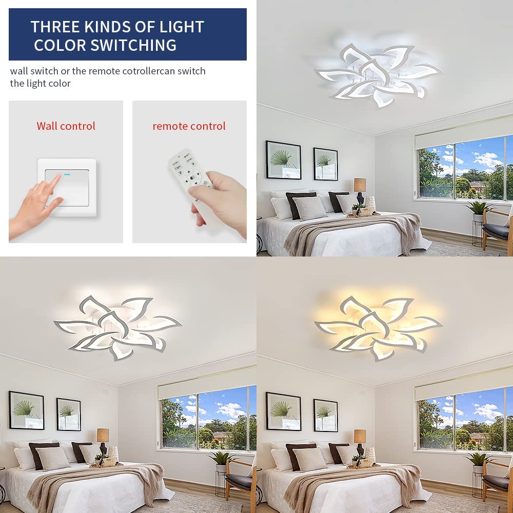 Diagramme de l'effet lumineux du plafonnier