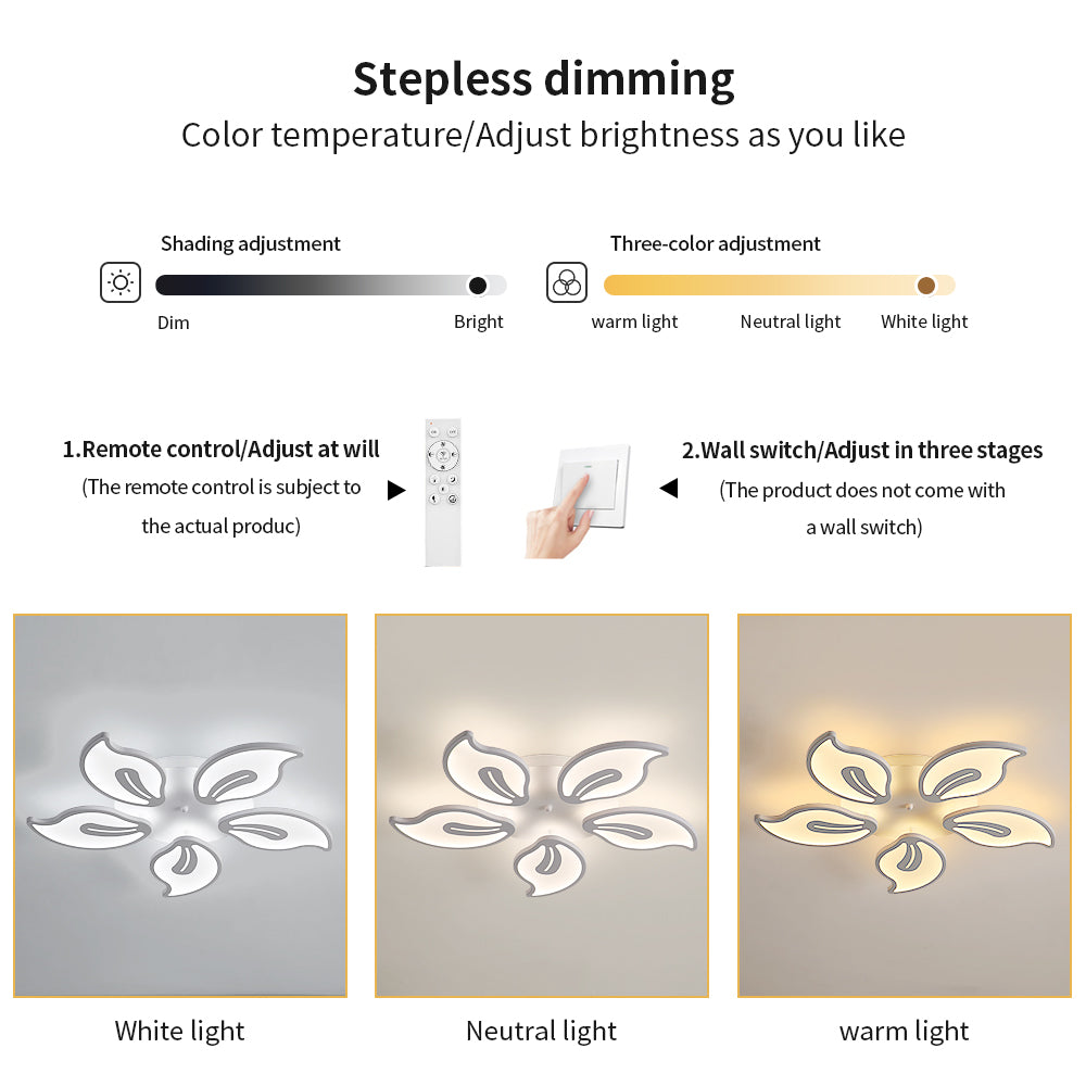 Diagramme de l'effet lumineux du plafonnier